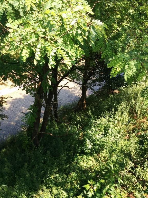 Casetta Next To The Creek Dino Buzzati Belluno Zimmer foto